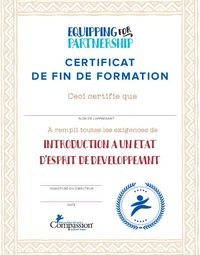 Certificat à l’Introduction de l'esprit de développement